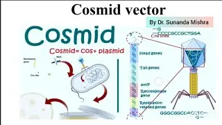 Cosmid vector#botany#biology #science#botanylovers #upsc  #1million#plasmid#biotechnology #trending