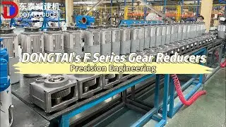Precision Engineering: A Glimpse into the Craftsmanship of DONGTAI's F Series Gear Reducers#factory