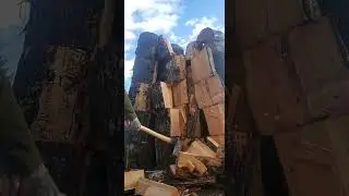 splitting firewood Arvika