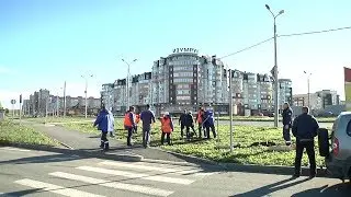 Высадка лип на улице Раахе