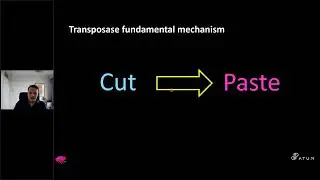 Quantifying Genetic Stability and Quality Control of Multiple Integrations of Orthogonal Transposase