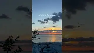 Choose Peace: The Key to a Serene Mind 🌿 | Positive Vibes & Inspiration