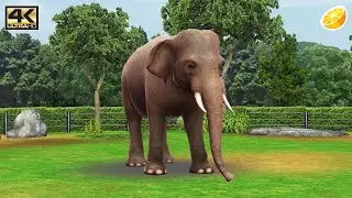 Zoo Resort 3D - 3DS Gameplay 4K 2160p (Citra)