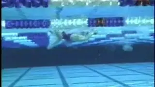 Masterswim Israel presents - butterfly - underwater example  ( masterswim.co.il )