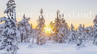 (4K) 10 Hours of Winter Wonderland + Calming Hang Drum Music for Relaxation, Stress Relief [UHD]