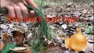 EATING WILD ONIONS (bad idea) onion grass