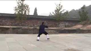 Wudang Dragon Sword (Long Hua Jian 龙华剑）