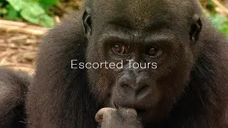 Escorted Tours - Try something new