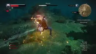 The Witcher 3: Wild Hunt &ndash; Killing the Grave Hag