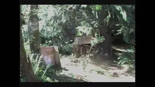Paintball Movie: Field John, Derek's and Kimber's Movie (8/16/2008)