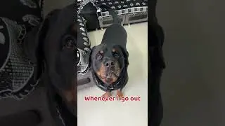 Doglover can related 😂 #rottweilerthebruzzo9212 #dog #funny #comedy #trending #shorts