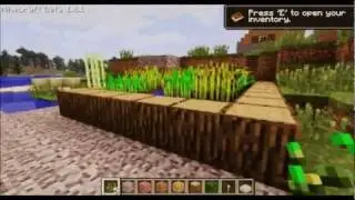 Minecraft- The best NPC village! [1.8]