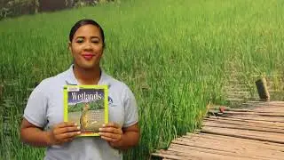 PBCLS Reads: PBC Water Utilities (Part 1)