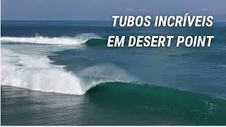 Indonésia 2026: show de tubos em Desert Point