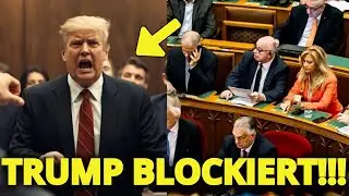 Senat stoppt Trumps Kennedy-Center-&Uuml;bernahme &ndash; 75 Mio. $ Strafe & politische Folgen