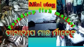 ଆଜି ଘରକୁ ଏକି ମାଛ ଆଣିଲି     Paradeep fish market 
