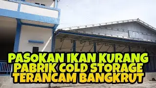 Pasokan Ikan Kurang, Pabrik Cold Storage di ToliToli Terancam Bangkrut