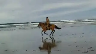 JR Robles and Regalo Kiger Mustang  Stallion  on Oregon Coast March 2018