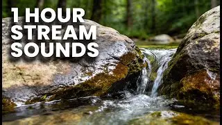 Relaxing Stream Sounds | Water Flowing Between Rocks (1 Hour Nature Ambience)