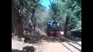 Matheran Light railway.....