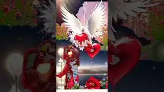 love placement enjoy of celebration you with patner ## like this is love' place mes
