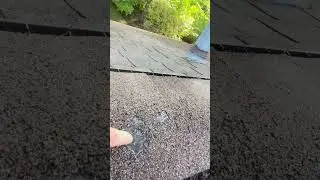 Moos damage on roof shingles