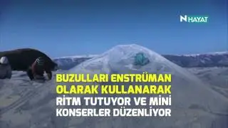 N Hayat... Buzun &uuml;zerinde buzdan konser!