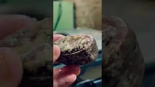 What&rsquo;s in this rock? Ep. 3 #rocks #rockhound #rockhounding #gemstone #jasper #lapidary