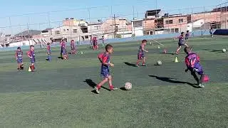 Projeto Phoenix VG.