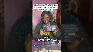 11 janvier 2026