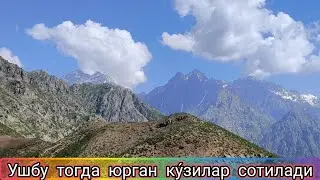 СУРХОНДАРЁ ХИСОР ТОГ КУ́ЗИЛАРИ ЧУ́ПОНДАН СОТУВДА