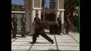 FU JOW PAI 1st FIGHTING FORM, NEW FRAME 2005