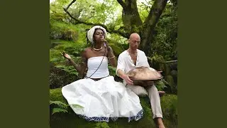 Forest Spirits (Live)