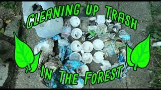 Cleaning up plastic pollution and other trash in the forest