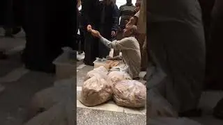 حبًا في السيد البدوي.. 