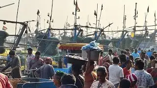 Vizag fishing harbour Friday morning live market 12/12/2025