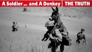 Why This Soldier is Actually Carrying a Donkey (It&rsquo;s Not a Minefield)