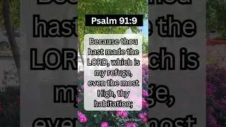 Psalm 91:9 Explained &ndash; How to Make God Your Safe Place