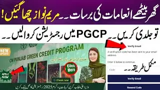 CM Punjab Green Credit Program 2025 &ndash; Go Green, Win Big | New Update