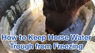 HOW TO KEEP YOUR HORSE WATER TROUGH FROM FREEZING