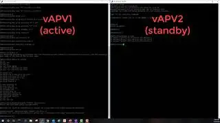 Intermediate: Array vAPV HA on the AVX Series