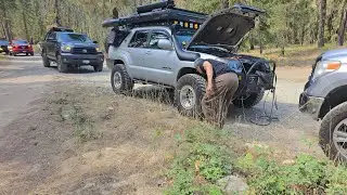 Family camping trip at Salmon La Sac  #4runnerlife #toyotalife #riverside #cleelum #camping
