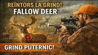 REÎNTORS LA GRIND! 🔥 | FALLOW DEER GREAT ONE HUNT