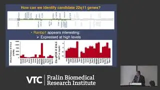 Untangling 22q11.2 Deletion Syndrome: The role of Ranbp1 in craniofacial and brain development