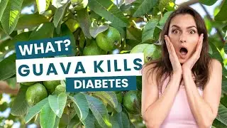 Guava helps destroy diabetes!🤩Watch now and kill diabetes and become young #diabetes #guava #healthy