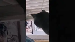 Выходите на улицу! от RxCKSTxR