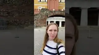 Мне понравилось у кремлевской стены. Туристов много правда #mariaengineer  #cover #moscow #shorts