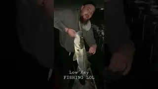 Caught beautiful Snook fishing under the bridge.
