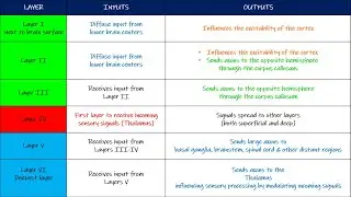 Layers of sensory cortex, 2 point tactile discrimination, Lateral Inhibition. Chap 48 part 5. Guyton