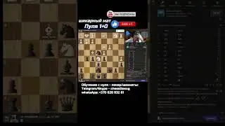 Шикарный мат в игре по минуте #шахматы